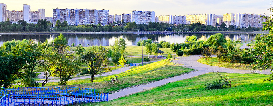 Иллюстрация публикации